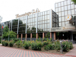 «Суперпрофи». Экс-директор провластного TV8 стал главой «Франзелуцы»