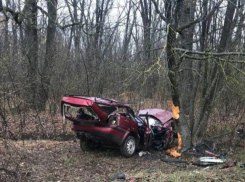Страшная трагедия под Окницей - трое человек погибли в смятом как консервная банка автомобиле