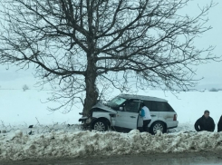 Вылетевшая с трассы элитная иномарка врезалась в дерево в Теленештах