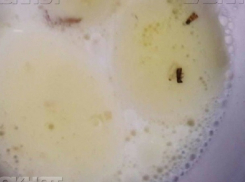 Компанию, поставившую червивую гречку в детсады Кишинева, на три года внесли в черный список