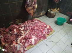 «Мясокомбинат на дому» - в Фалештах задержан очень инициативный молодой предприниматель