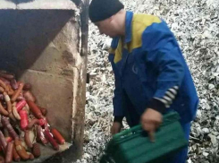 Впечатляющее уничтожение более тонны колбас и копченостей в Яловенах показали на снимках