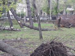 На 80% разрушен и столичный Дендрарий 