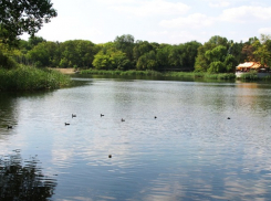 В Молдове разрешено купаться только в 19 из 4000 водоёмов