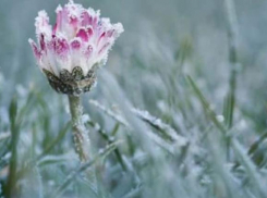 Объявлен «желтый» код из-за заморозков