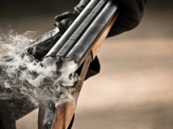 В Флорештском районе охотник застрелился, пытаясь убить собаку