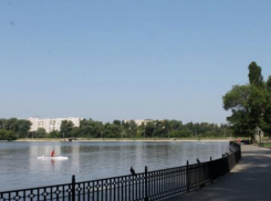 Олимпийцы Молдовы приглашают на ЭКОФест в Кишинёве