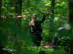 В Праге арестован молдаванин, подозревающийся в убийстве немецкой девочки