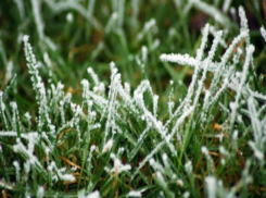 В Молдове объявлен желтый код из-за заморозков