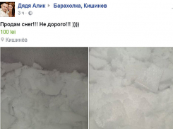 Продажу снега в бесснежном Кишиневе наладили предприимчивые дельцы