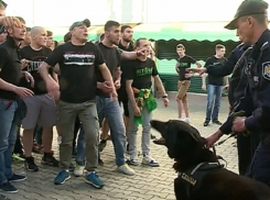 Жестоко избивших болельщиков «Шерифа» фанатов «Зимбру» схватила полиция