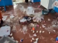 Маленькие вандалы: в Малаештах школьники устроили погром в столовой