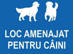 В парках столицы появятся площадки для выгула собак