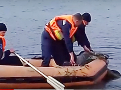 Молодой мужчина погиб на рыбалке в Кагульском районе, запутавшись в браконьерской сети