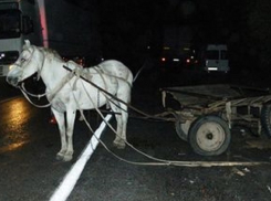 Автомобиль врезался в конную повозку в Конгазе: несовершеннолетний юноша и мужчина получили ранения