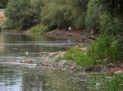 В запрещенном месте для купания у моста в Днестре утонул мужчина 