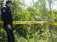 Труп повешенного мужчины обнаружили в лесу у Сынжерей 