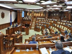 Социалисты и коммунисты покинули заседание парламента в знак протеста против антироссийской декларации 