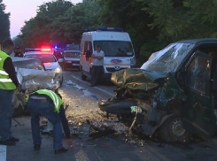 Мать, девочку и 9-девятимесячного младенца насмерть сбил автомобиль под Киевом