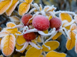 В Молдове объявлен «желтый код»: ожидаются заморозки и ночное похолодание