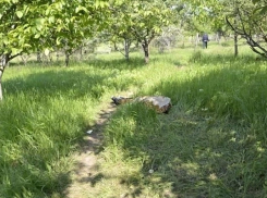 В Крикова найден труп зверски убитого мужчины 