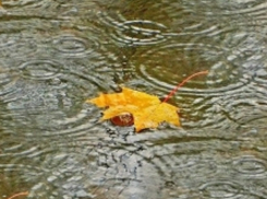 В субботу в Молдове будет пасмурно, на юге возможны дожди 