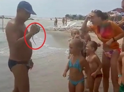 Выползшие из моря змеи атаковали детей на украинских пляжах