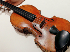 Женщина пыталась вывезти скрипку за два млн евро