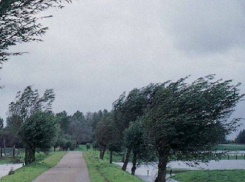 Ураганный ветер оставил без электричества населенные пункты на севере Молдовы