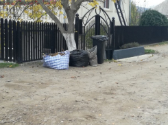 В пригороде Кишинева мусор не убирают неделями