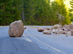 Молдсильва удружила: «облысевший» Криулянский район покроется оползнями