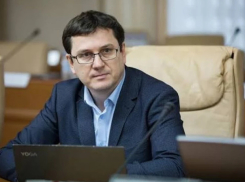 Спатарь: введение 20% НДС на зарубежные онлайн-покупки могут отложить