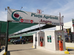 Заработал оптовый сельскохозяйственный рынок Кишинева – уже есть нарушения