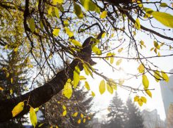 Во вторник в Молдове будет прохладно, осадков не ожидается