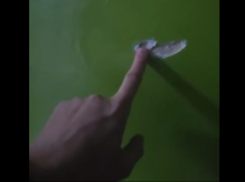 «Праздничная» стрельба в здании полиции закончилась увольнениями - заявление ГИП