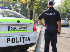 Полицейские скоро станут священными коровами - новые правила поведения с людьми в погонах