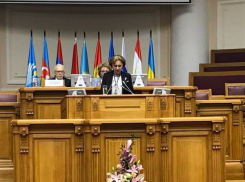 Зинаида Гречаный зачитала приветственное слово Президента РМ на заседании Межпарламентской ассамблеи СНГ 