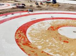 Начался сбор подписей в поддержку GagauziyaLand