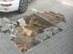 Растущее «не в строю» скандальное дерево убрали с тротуара центрального проспекта столицы