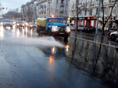 «Домохозяйку» Сильвию Раду высмеяли за глупую для февраля затею на улицах Кишинева 