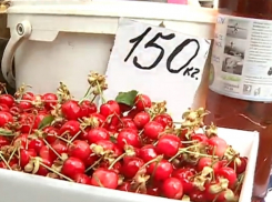 Первая молдавская черешня появилась на столичных рынках