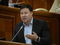 Демократы привели Молдову в зону контрабанды и преступности, - Цырдя