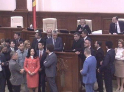 «Зоопарк в парламенте»: Богдан Цырдя рассказал, что на самом деле произошло в законодательном органе