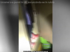 Свидетелями позора украинки стали молдавские пограничники