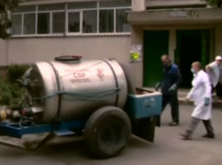  Блохи атаковали жилые дома столицы Молдовы