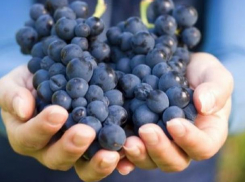 ЕС увеличивает квоты на некоторые продукты из РМ
