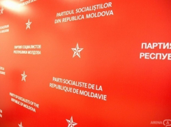 ПСРМ о декларации против одномандатной системы: Большинство подписантов не отличаются от парламентского большинства