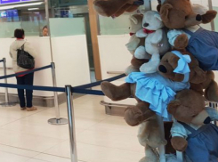 «Повешенные» плюшевые медведи испугали детей в аэропорту Кишинева