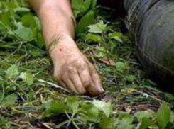 Молния убила женщину, которая вела корову на цепи