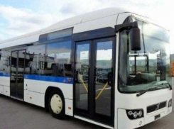 По улицам Кишинева будут ездить автобусы МАЗ